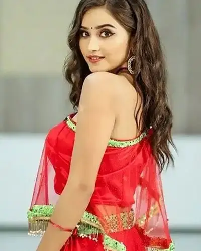 Call Girls Service Arempudi